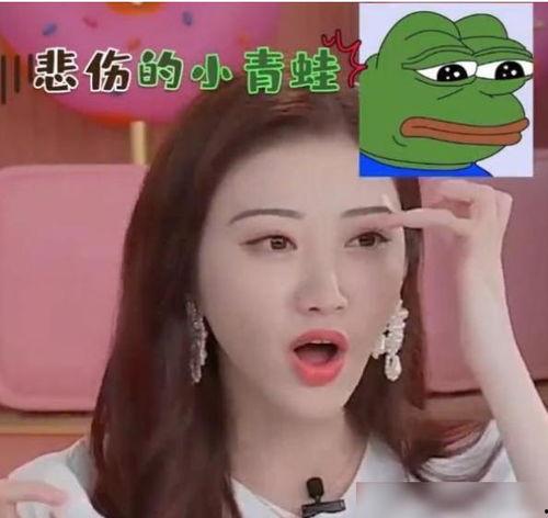 娱乐圈大爆料悲伤蛙,娱乐圈大爆料背后的心酸历程